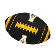  App State Pet Football Toss Toy