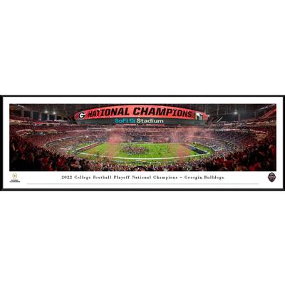 Georgia Vs TCU 2022 National Championship Panoramic Picture (Standard Frame)