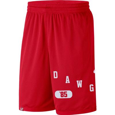 Georgia Nike Men's Dri-Fit Shorts