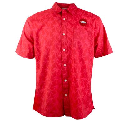 Arkansas Razorbacks | Arkansas Men's Dress Shirts | Alumni Hall