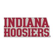  Indiana Hoosiers Collector Pin