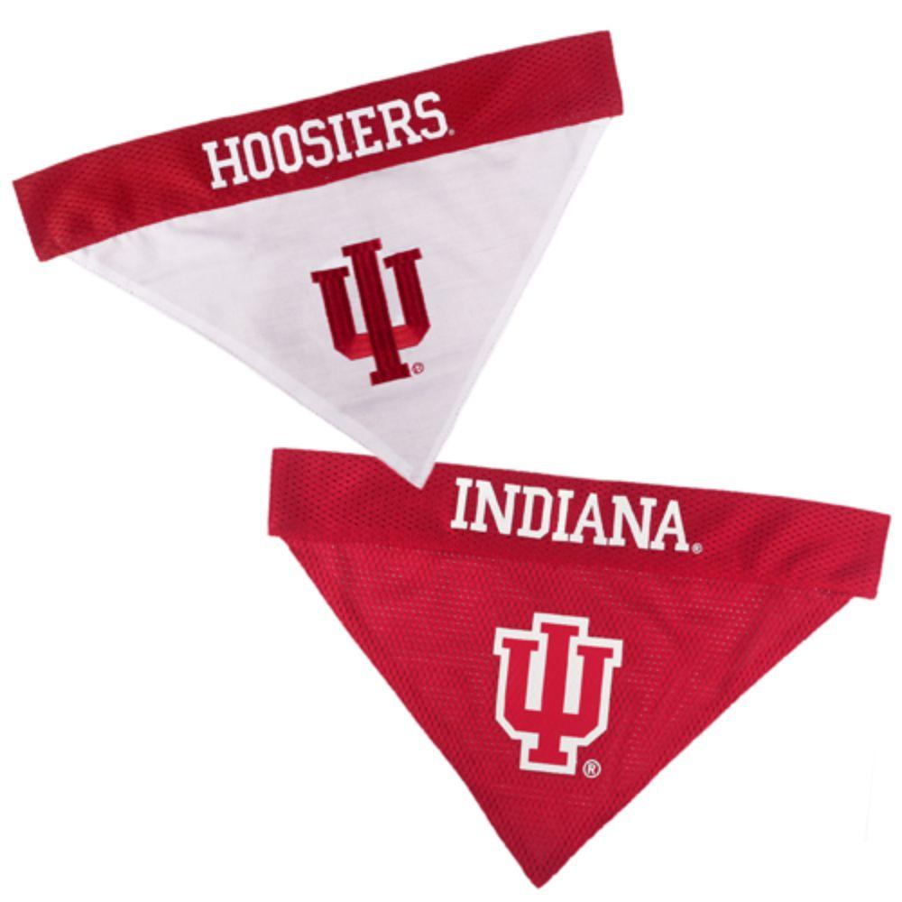 Alumni Hall Hoosiers, Indiana 6 ' Dog Leash, Alumni Hall