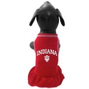  Indiana Pet Cheer Dress