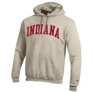  Indiana Champion Arch Hoodie