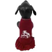  Mississippi State Pet Cheer Dress