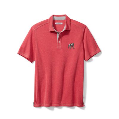 Georgia Tommy Bahama Sport Paradiso Cove Polo