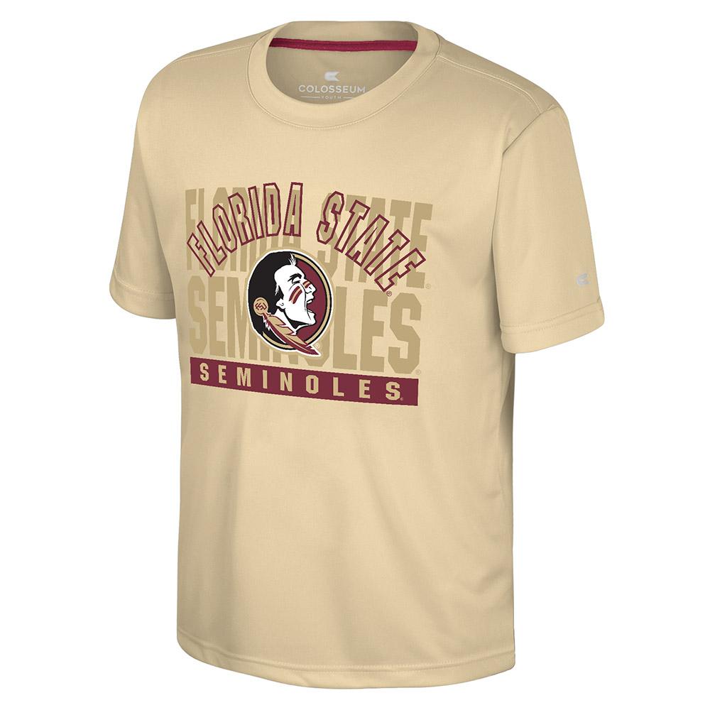 Lids Florida State Seminoles Colosseum Youth Sitwell Pullover Hoodie -  Heathered Gray