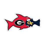  Georgia 6 