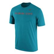  Florida State Nike Wordmark Dri- Fit Cotton Tee