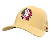  Florida State Nike Swoosh Flex Seminole