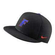  Florida Nike Aero True Fitted Baseball Cap