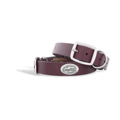 Florida Zep-Pro Brown Leather Concho Dog Collar