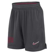  Alabama Nike Dri- Fit Sideline Mesh Shorts