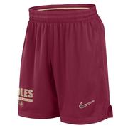  Florida State Nike Dri- Fit Sideline Mesh Shorts