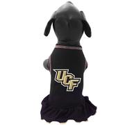  Ucf Pet Cheer Dress