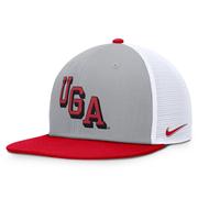  Georgia Nike Dri- Fit Pro Structured Mesh Square Bill Cap