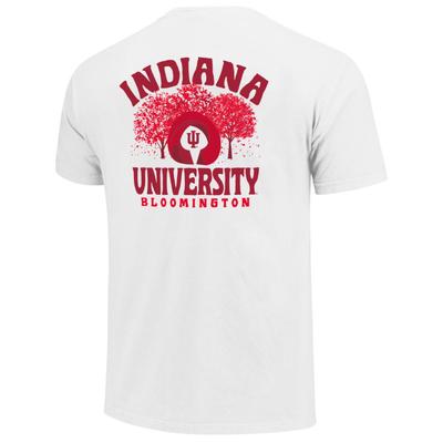 Indiana Image One Campus Sculpture Leaves Comfort Colors Tee