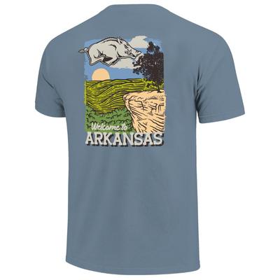 Arkansas Image One Whitaker Point Painted Comfort Colors Tee