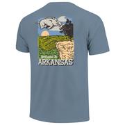  Arkansas Image One Whitaker Point Painted Comfort Colors Tee