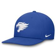  Kentucky Nike Dri- Fit Pro Structured Square Bill Cap