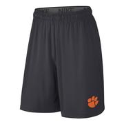  Clemson Nike Youth Fly Shorts