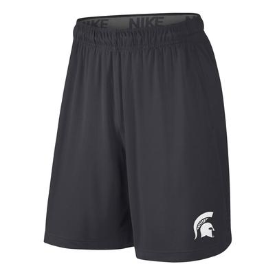 Michigan State Nike YOUTH Fly Shorts