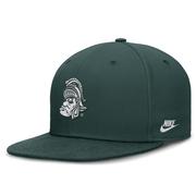  Michigan State Nike Vault True Wool Fitted Cap