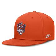  Clemson Nike Vault True Wool Fitted Cap