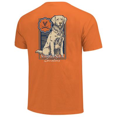 Virginia Image One Retriever Wooden Frame Comfort Colors Tee