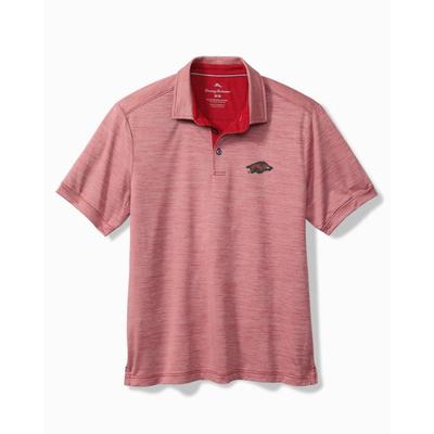 Arkansas Tommy Bahama Sport San Raphael Polo