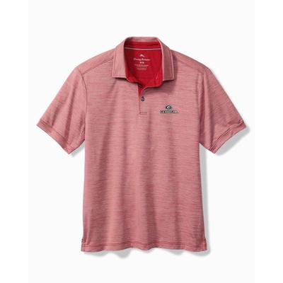 Georgia Tommy Bahama Sport San Raphael Polo