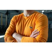  Tennessee Volunteer Traditions Bluetick Long Sleeve Active Tee