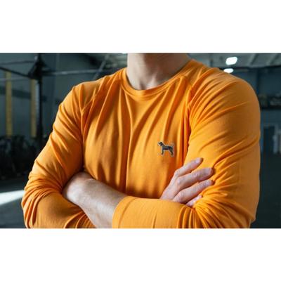 Tennessee Volunteer Traditions Bluetick Long Sleeve Active Tee