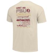  Florida State School Elements Stack Comfort Colors Tee