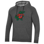  Florida Champion Vault Albert Triumph Fleece Raglan Hoodie