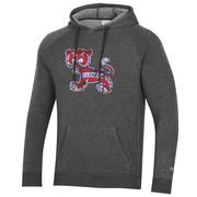  Clemson Champion Vault Triumph Fleece Raglan Hoodie