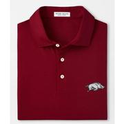  Arkansas Peter Millar Tesseract Performance Polo