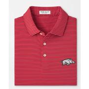  Arkansas Peter Millar Hemlock Performance Polo