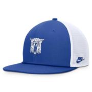  Kentucky Nike Vintage Dri- Fit Pro Structured Square Bill Cap