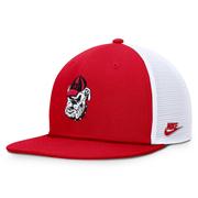  Georgia Nike Vintage Dri- Fit Pro Structured Square Bill Cap