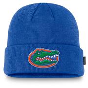  Florida Jordan Brand Sideline Terra Standard Cuff Waffle Beanie