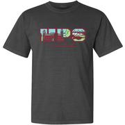  Arkansas Campus Fill Letters Comfort Colors Tee