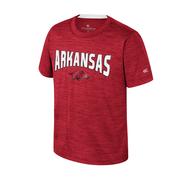  Arkansas Colosseum Toddler Rylos Poly Tee