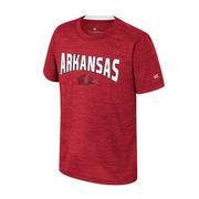  Arkansas Colosseum Youth Rylos Poly Tee