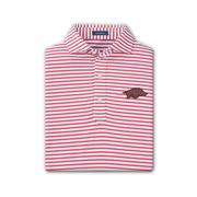  Arkansas Turtleson Gus Stripe Performance Polo