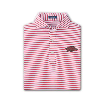 Arkansas Turtleson Gus Stripe Performance Polo