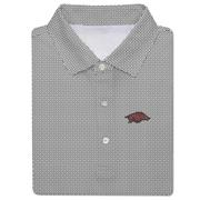  Arkansas Turtleson Raynor Performance Polo