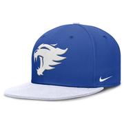  Kentucky Nike True Wool Fitted Cap