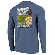  Arkansas Image One Whitaker Point Painted Comfort Colors Long Sleeve Tee