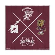  Mississippi State Wincraft 17 